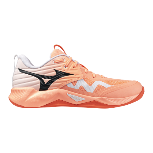 Кроссовки волейбольные MIZUNO WAVE MOMENTUM PRO V1GA254080