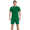 Комплект игровой формы ERREA EVERTON + NEW SKIN