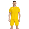 Комплект игровой формы ERREA EVERTON + NEW SKIN