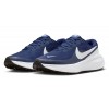 Кроссовки для бега NIKE REVOLUTION 8 HJ9198-403