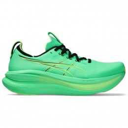 Кроссовки беговые ASICS GEL-NIMBUS 28 1011C127-300