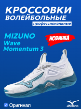 Кроссовки волейбольные MIZUNO WAVE MOMENTUM 3 V1GA2312 21